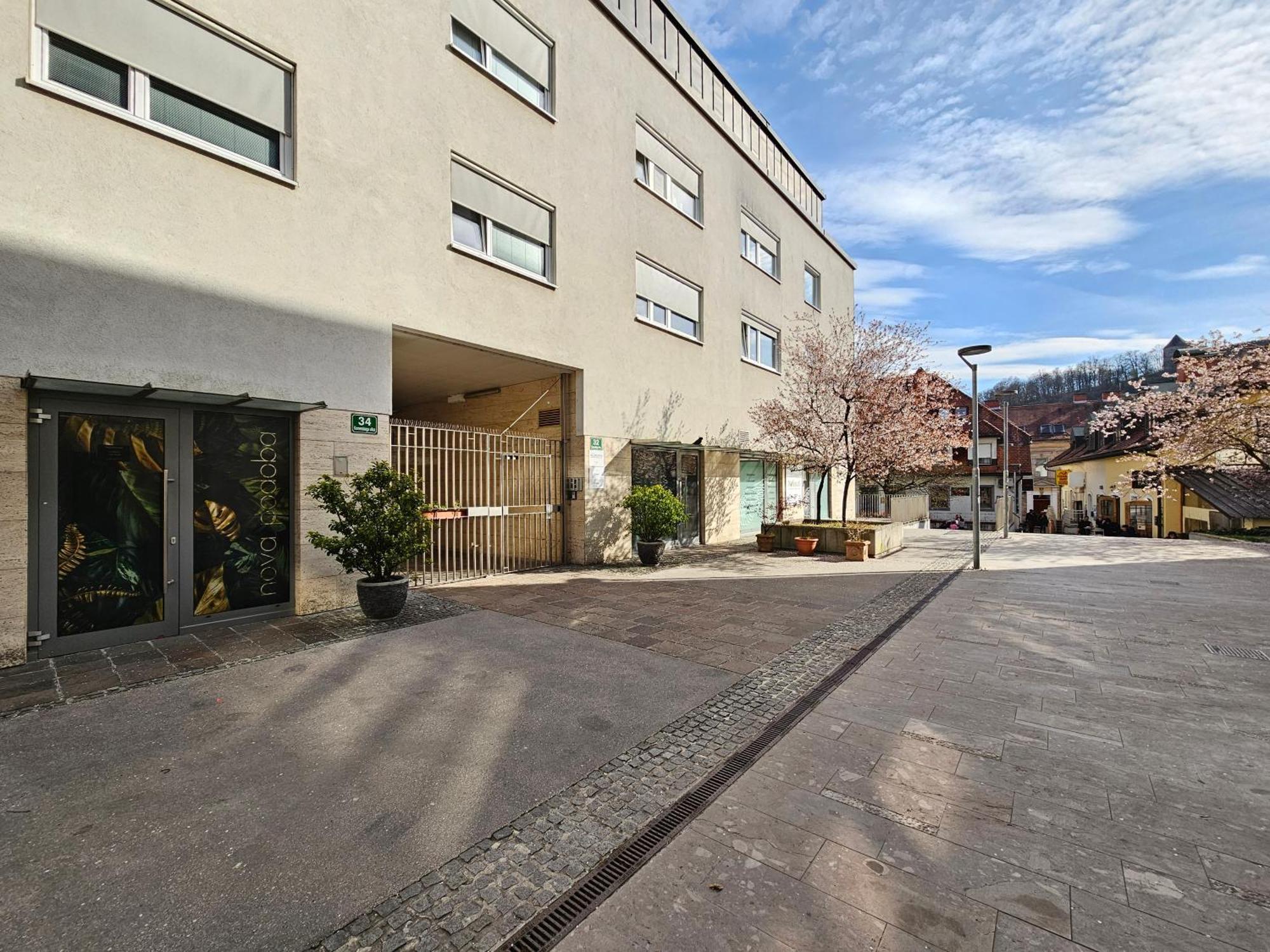 Apartment Irena Tour As 卢布尔雅那 外观 照片